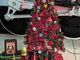 'Offensive to Christians': Republican congressman blasts 'satanic Christmas tree' in Wisconsin