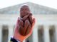 Supreme Court's Dobbs decision saves 32,000 babies from abortion: report