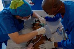 World AIDS Day:  The small African nation predicted to go extinct due to HIV/AIDS