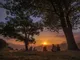 Lebanon’s Christians Feel the Heat of Climate Change in Its Sacred Forest and Valley