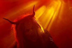 'Unholy Bible': University promotes art project of desecrated Bible, satanic Christ