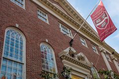 Harvard pressuring Jewish group to remove menorah at night: rabbi