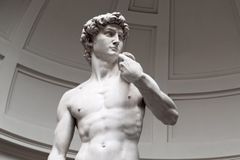 Should David be the standard bearer for a fallen leader's restoration?