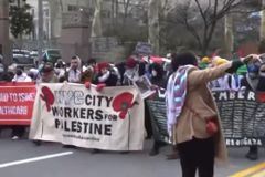 Anti-Israel protesters target NYC cancer hospital; police escort Jewish woman to safety