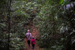 Indigenous Faithful and Christians Work With Environmentalists to Conserve India’s Sacred Forests