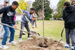 Agriculture Department, COGIC Make Plans for Funds to Add Trees to Urban Centers