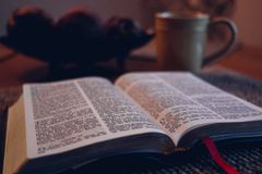 An Outsider’s Encounter with the Psalms