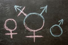 Employment tribunal hears case of teacher sacked after raising concerns about school's trans ...