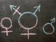 Employment tribunal hears case of teacher sacked after raising concerns about school's trans ...
