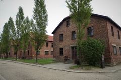 The Trees of Auschwitz
