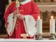 Catholic Church sees membership rise but number of priests decline