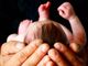 Arizona lawmakers vote to retain law protecting life at conception