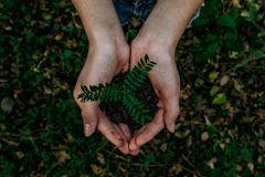 Why Christians Should Probably Care About Earth Day - RELEVANT