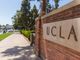 Leading DEI official at UCLA medical school plagiarized doctoral dissertation on diversity: report