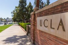 Leading DEI official at UCLA medical school plagiarized doctoral dissertation on diversity: report