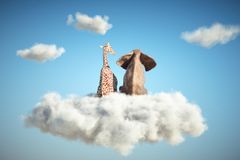 Confirmation that the world has lost its mind