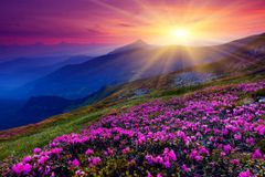 Does atheism usher in utopia?