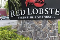 Red Lobster restaurant chain files for bankruptcy