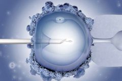 Southern Baptist Ethics Committee Says IVF Is Immoral, Tells Christians To Oppose It