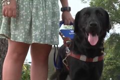 Blind woman denied entry into church because of guide dog