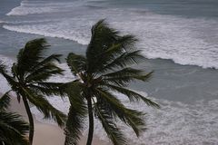 Powerful Hurricane Beryl to make landfall in the Caribbean