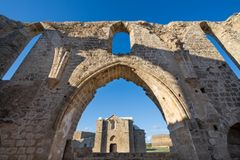 Ancient artefacts stolen from Cyprus churches go on display after return to country