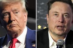 Elon Musk to audit government if elected, Trump says