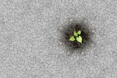 Pope Francis' visit to Asia-Pacific highlights urgent need for world climate commitment