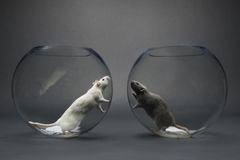 There's need for balance in the race relations conversation