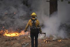 California firefighter charged for arson in wine country