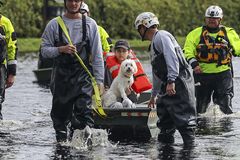 Hurricane Milton death toll rises amid relief efforts