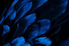 They Might Be Giants. (Or Angels. Or Superhuman Devils.)