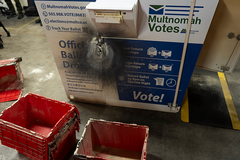 FBI offers $25K reward for info on ballot box fires