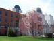 PCUSA cuts 12 national staff, restructures ministries amid membership decline