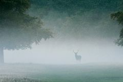 The Still Small Voice in the Deer Stand