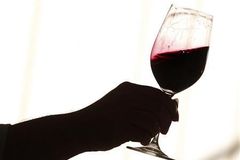 Don't Believe the Lie: Alcohol Is NOT a Health Food