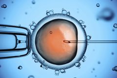 DNA editing, ethics & biblical truth | Baptist Press