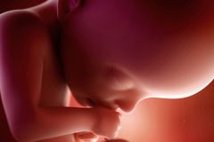 Ill. pro-lifers fight publicly-funded abortions bill | Baptist Press