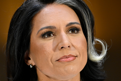 Tulsi Gabbard confirmed as intelligence director