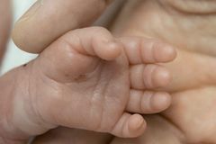 Baby born 14 weeks early goes home from hospital