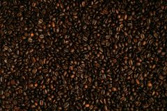 Your Favorite Coffee Chain Is Lying to You (And Farmers Are Paying the Price) - RELEVANT