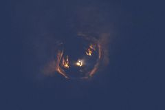 SpaceX Starship rocket explodes during test launch