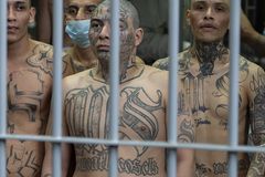 Feds arrest MS-13 gang leader in New York on murder charges