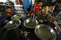 To President Trump: Please help our 300 Chinese orphans come to US