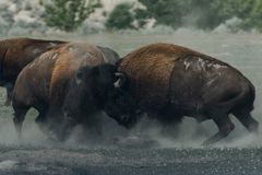 Christians Need Better Conflict Skills—Here’s Where to Start - RELEVANT