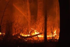 New Jersey man charged with arson for allegedly starting large wildfire