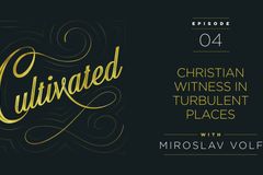 Miroslav Volf on Christian Witness in Turbulent Places