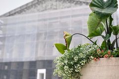 Supreme Court rules terrorism victims can sue Palestinian authorities