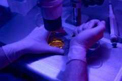 A Christian Perspective on the IVF Controversy - RELEVANT