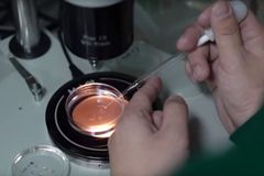 First gene-edited babies 'a bridge too far' | Baptist Press